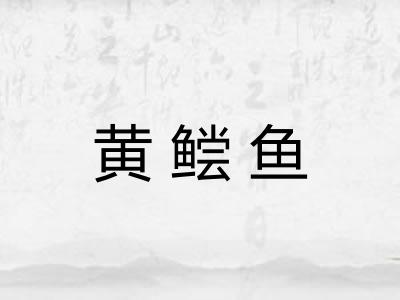 黄鲿鱼 黄鲿鱼