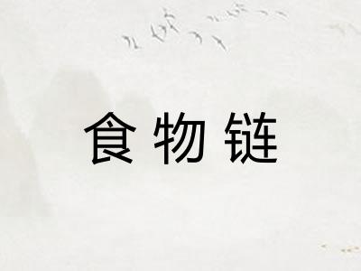 食物链 食物链