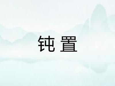钝置