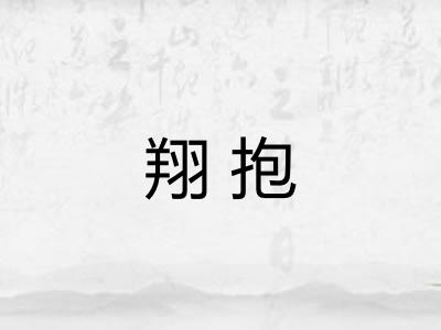 翔抱 翔抱