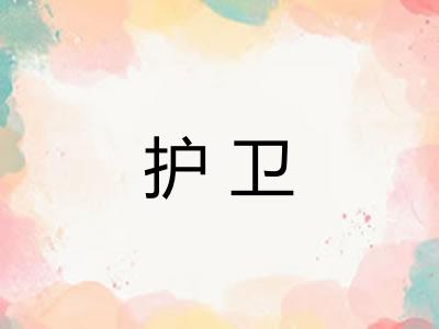 护卫