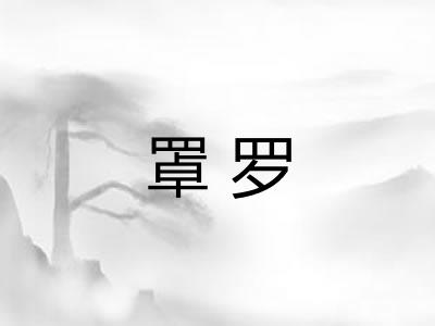 罩罗
