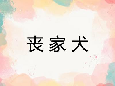 丧家犬