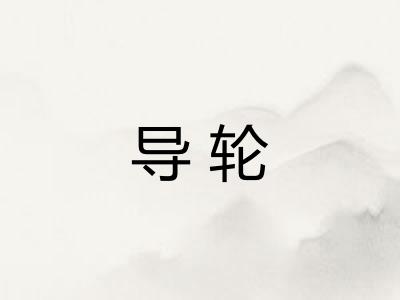 导轮