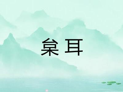 枲耳