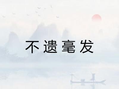 不遗毫发
