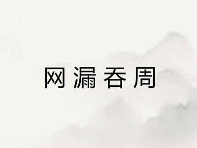 网漏吞周