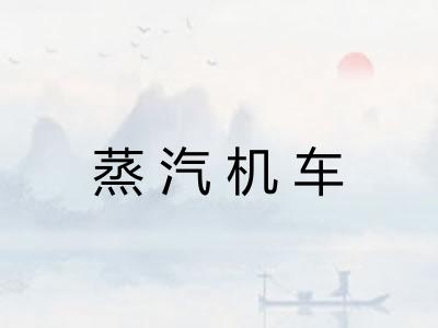 蒸汽机车 蒸汽机车