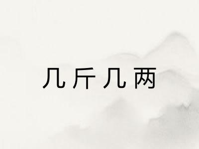 几斤几两