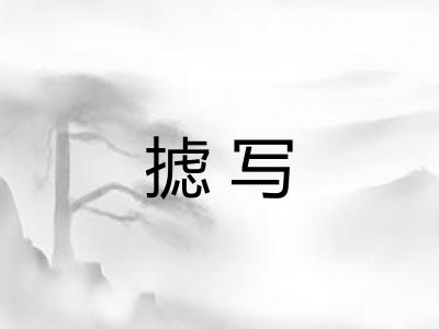 摅写