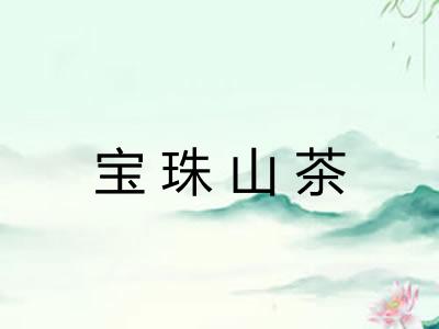 宝珠山茶
