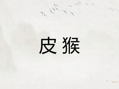 皮猴