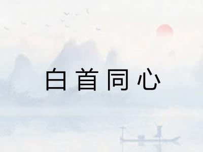 白首同心