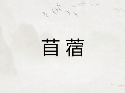 苜蓿 苜蓿
