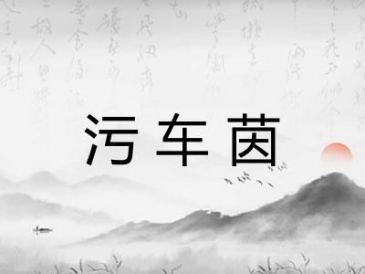 污车茵 污车茵