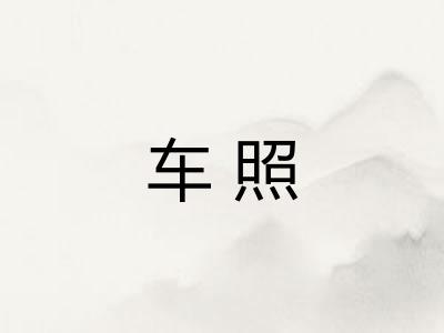 车照