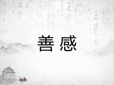 善感