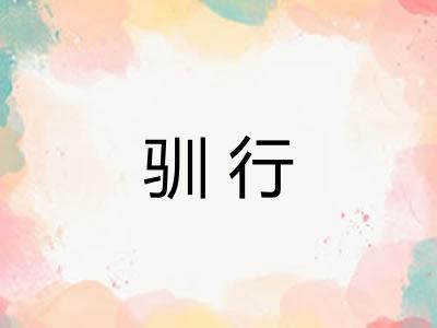 驯行