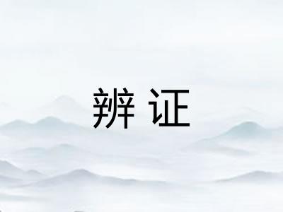 辨证