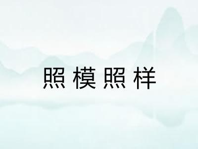 照模照样