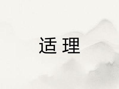 适理