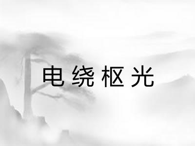 电绕枢光