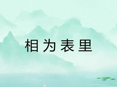 相为表里