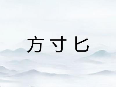 方寸匕 方寸匕