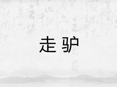 走驴 走驴
