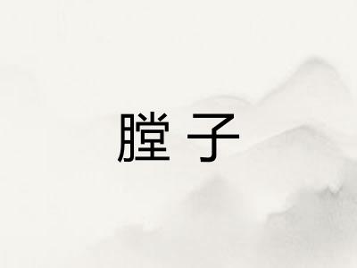 膛子 膛子