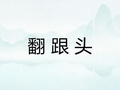翻跟头 翻跟头