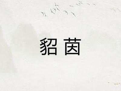 貂茵