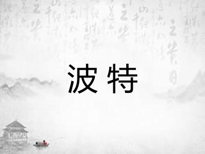 波特 波特