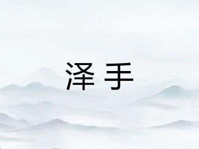 泽手