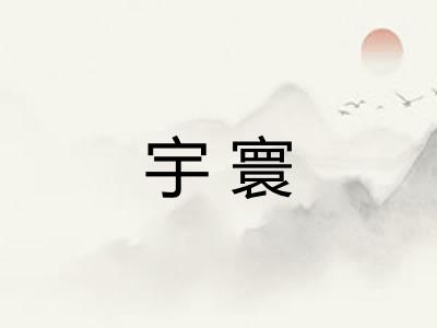 宇寰