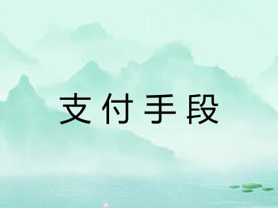 支付手段