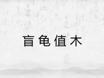 盲龟值木 盲龟值木