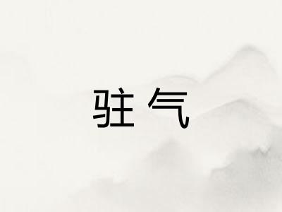 驻气