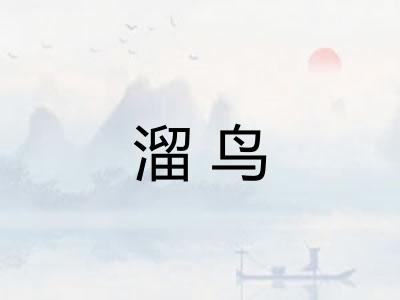 溜鸟