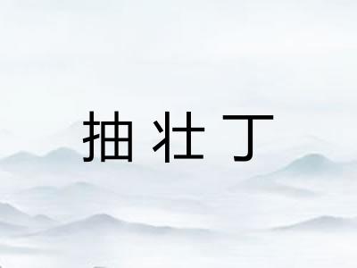 抽壮丁 抽壮丁