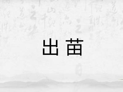 出苗 出苗