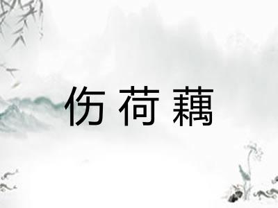 伤荷藕