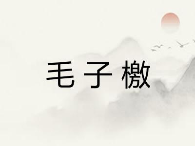 毛子檄