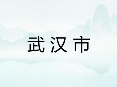 武汉市