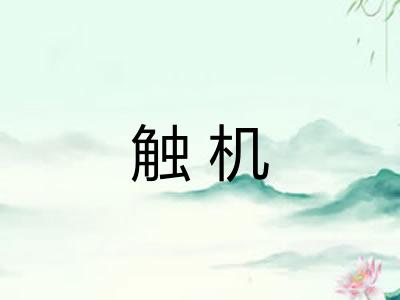 触机