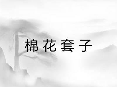棉花套子