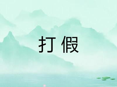 打假