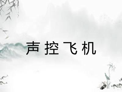 声控飞机 声控飞机