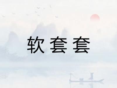 软套套 软套套