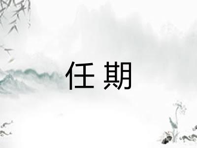 任期 任期